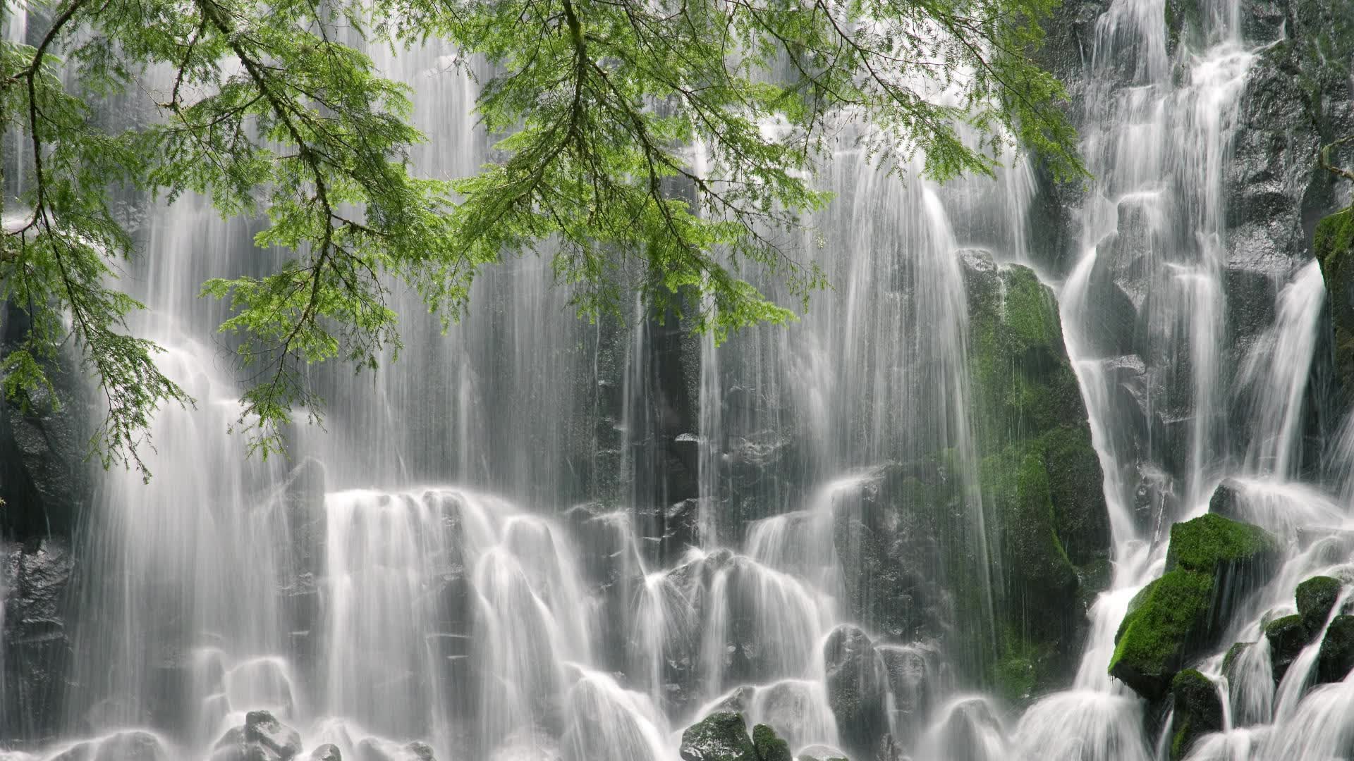 世界柔道锦标赛赛程与看点整理，世界柔道锦标赛视频