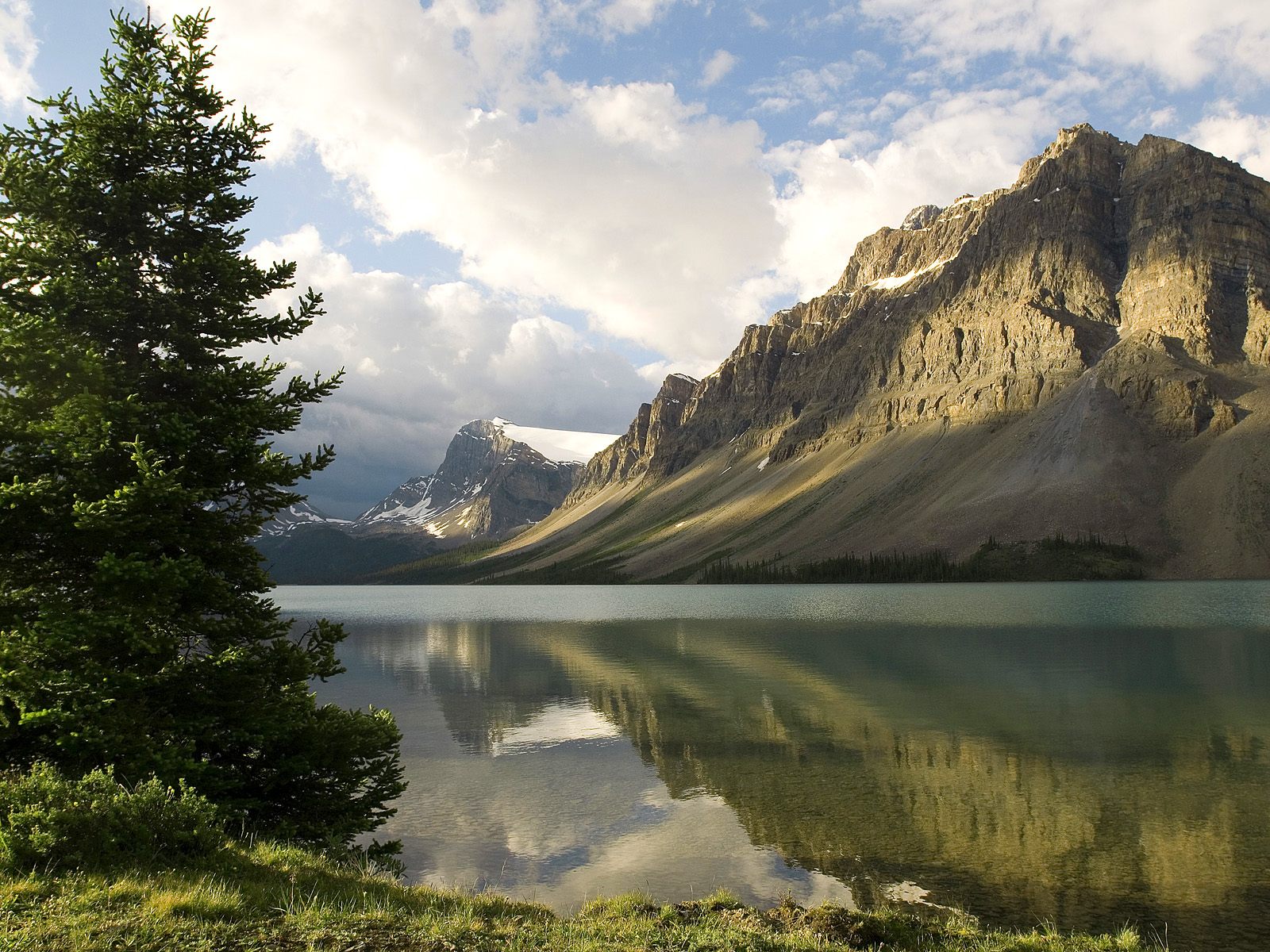 世界游泳名将退役仪式慈善募捐详情公开，国际游泳名将